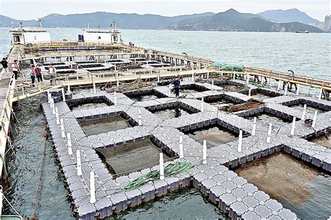 天子養殖場